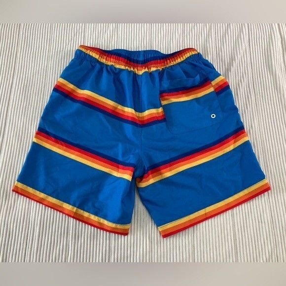 Speedo Men’s M Blue Multicolor Stripe Swim Trunks Quick Dry Beach Brief Liner - Picture 2 of 8